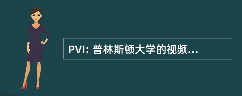 PVI: 普林斯顿大学的视频图像，公司