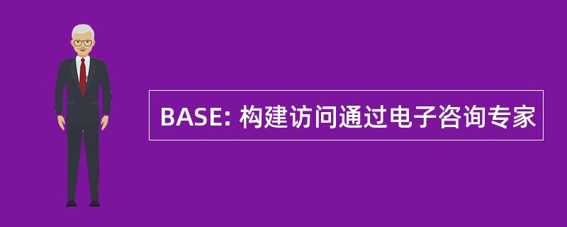 BASE: 构建访问通过电子咨询专家