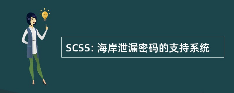 SCSS: 海岸泄漏密码的支持系统