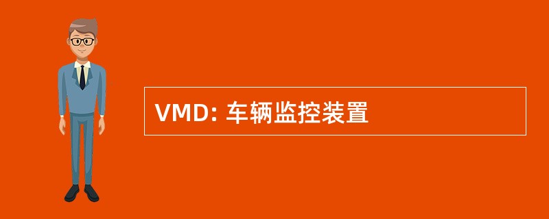 VMD: 车辆监控装置