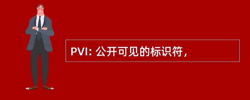 PVI: 公开可见的标识符，