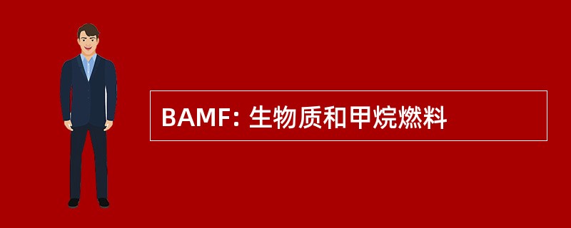 BAMF: 生物质和甲烷燃料