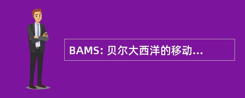 BAMS: 贝尔大西洋的移动通信系统