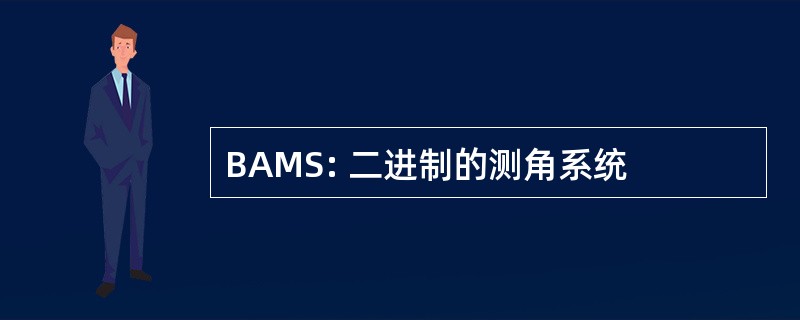 BAMS: 二进制的测角系统