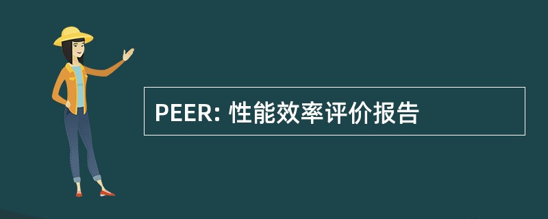 PEER: 性能效率评价报告