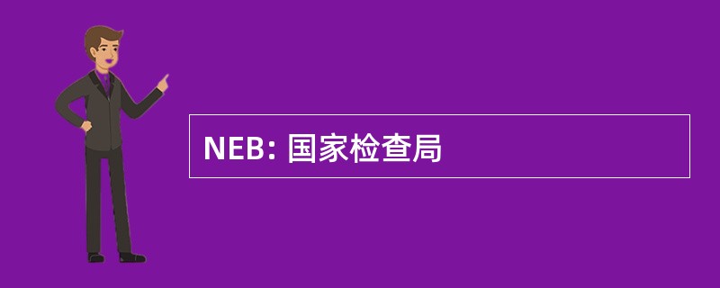 NEB: 国家检查局