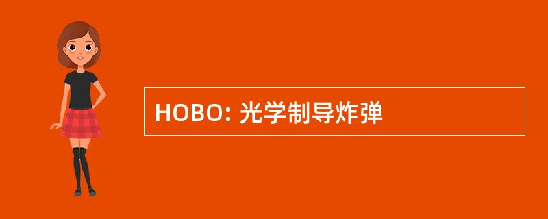 HOBO: 光学制导炸弹