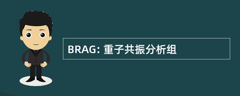 BRAG: 重子共振分析组