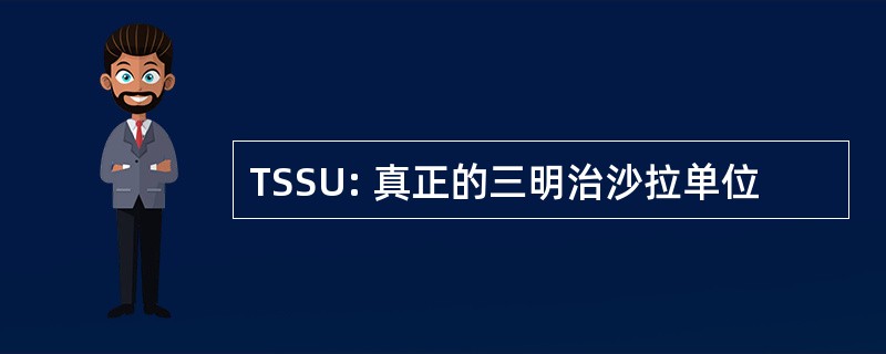 TSSU: 真正的三明治沙拉单位