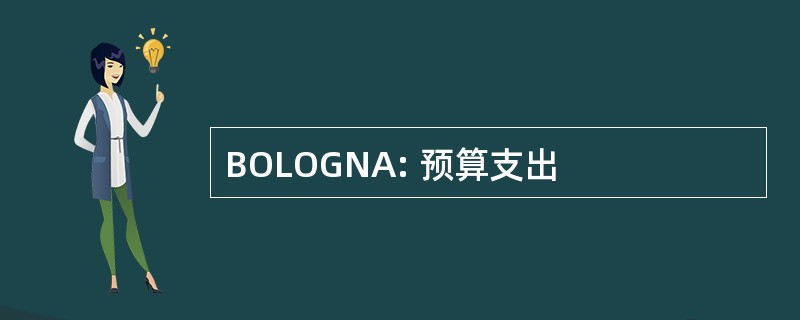 BOLOGNA: 预算支出