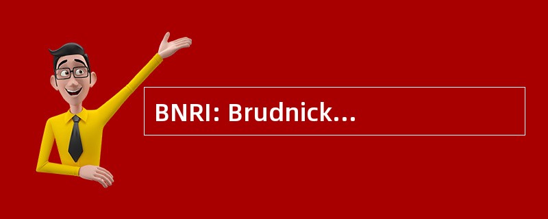 BNRI: Brudnick 神经精神病学研究所