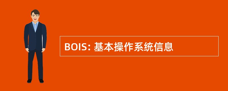 BOIS: 基本操作系统信息