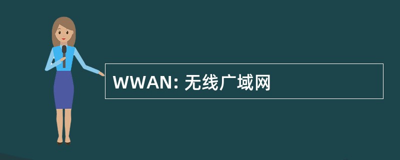 WWAN: 无线广域网