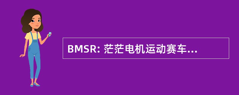 BMSR: 茫茫电机运动赛车有限公司