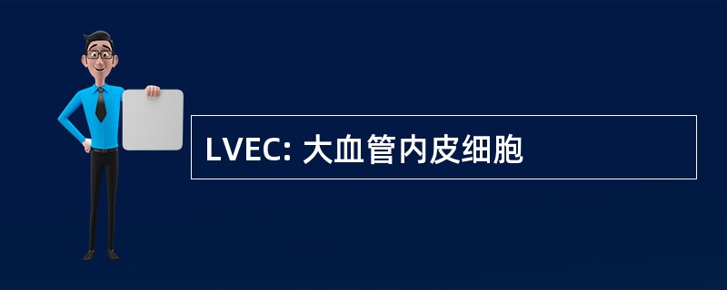 LVEC: 大血管内皮细胞