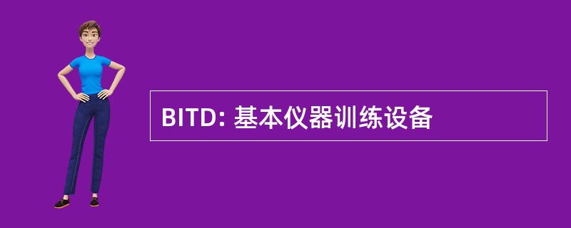 BITD: 基本仪器训练设备