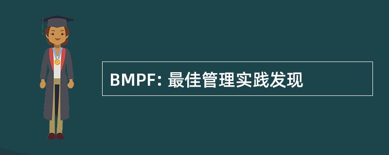 BMPF: 最佳管理实践发现