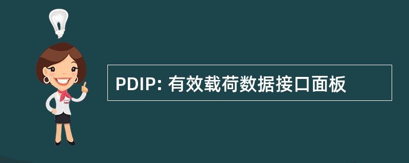 PDIP: 有效载荷数据接口面板