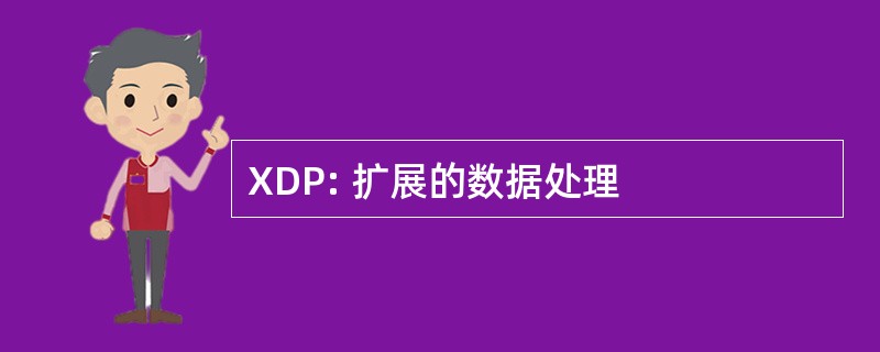 XDP: 扩展的数据处理