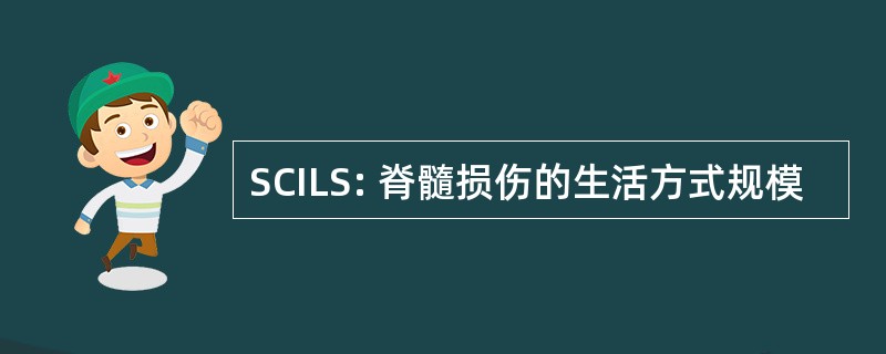 SCILS: 脊髓损伤的生活方式规模