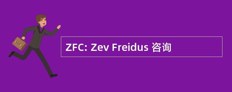 ZFC: Zev Freidus 咨询