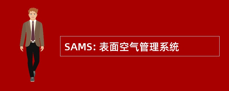 SAMS: 表面空气管理系统