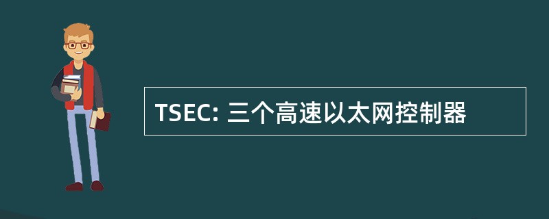 TSEC: 三个高速以太网控制器