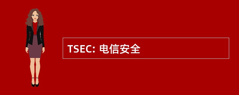 TSEC: 电信安全