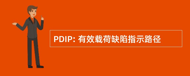 PDIP: 有效载荷缺陷指示路径