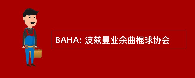 BAHA: 波兹曼业余曲棍球协会