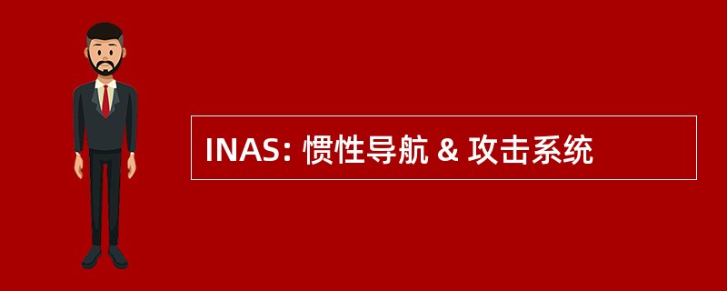 INAS: 惯性导航 & 攻击系统