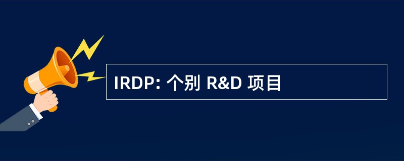 IRDP: 个别 R&D 项目