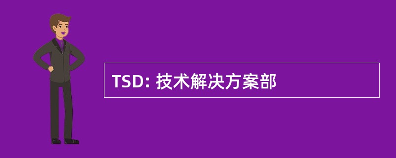 TSD: 技术解决方案部