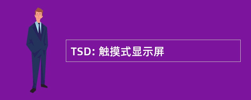 TSD: 触摸式显示屏