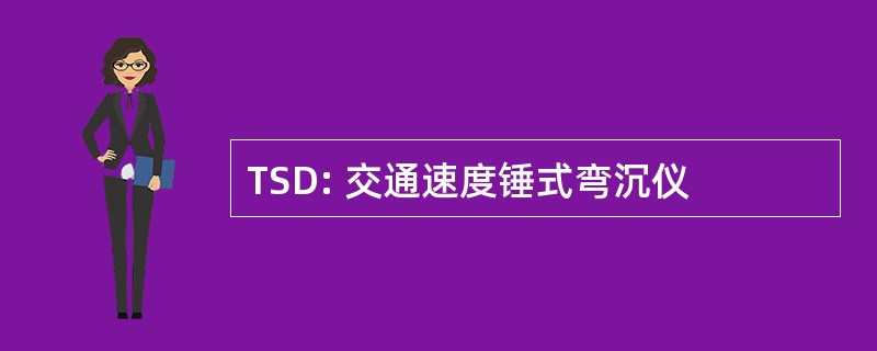 TSD: 交通速度锤式弯沉仪