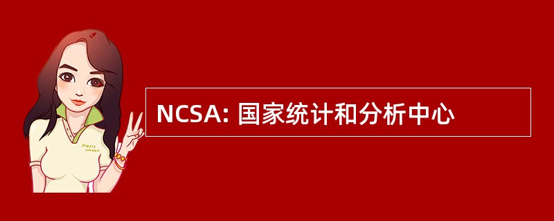 NCSA: 国家统计和分析中心