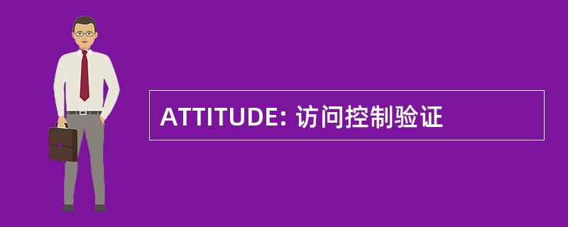 ATTITUDE: 访问控制验证