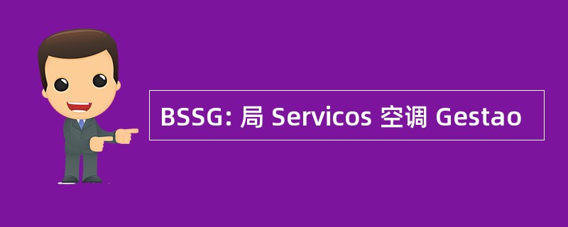 BSSG: 局 Servicos 空调 Gestao