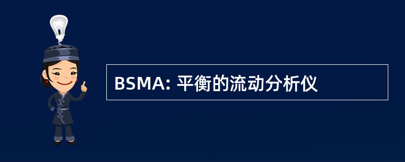 BSMA: 平衡的流动分析仪