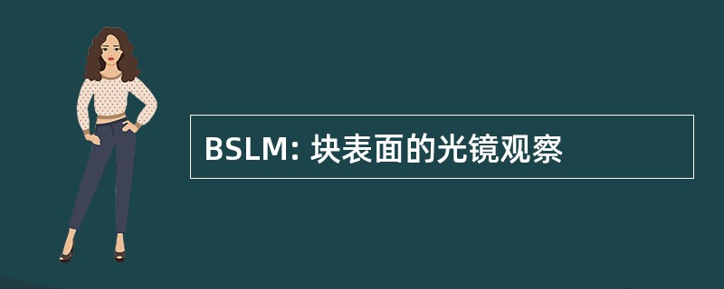 BSLM: 块表面的光镜观察