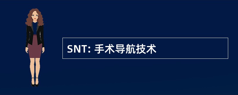 SNT: 手术导航技术