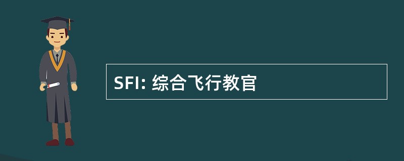 SFI: 综合飞行教官