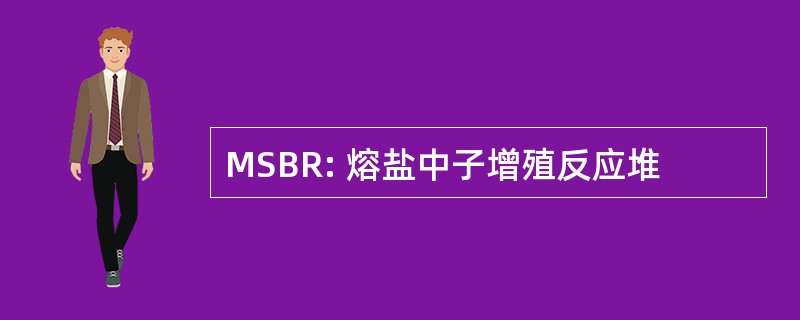 MSBR: 熔盐中子增殖反应堆