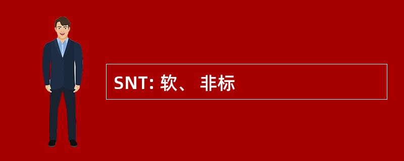 SNT: 软、 非标