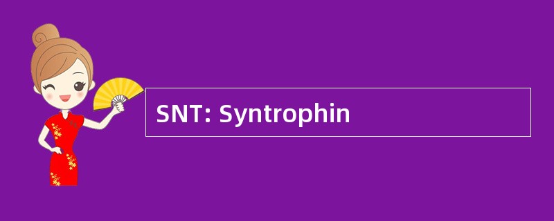 SNT: Syntrophin