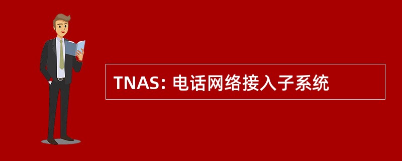 TNAS: 电话网络接入子系统