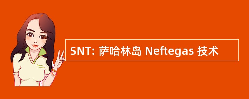 SNT: 萨哈林岛 Neftegas 技术