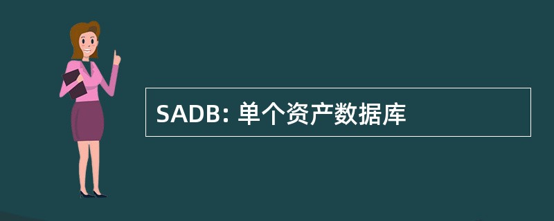 SADB: 单个资产数据库