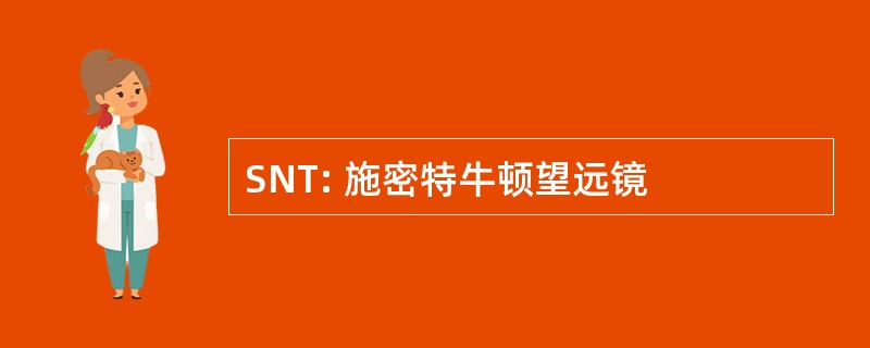 SNT: 施密特牛顿望远镜