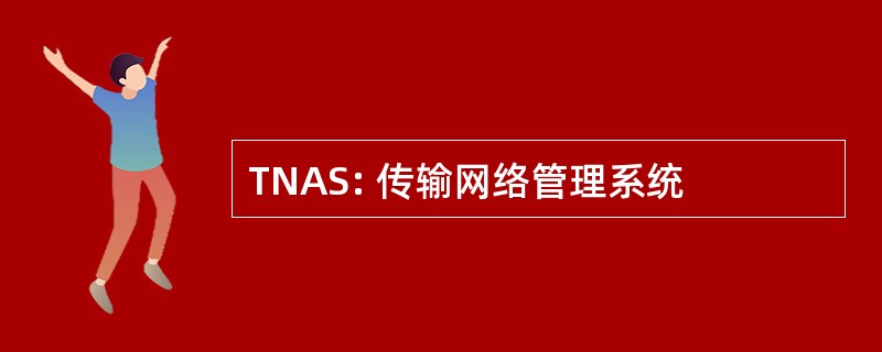 TNAS: 传输网络管理系统